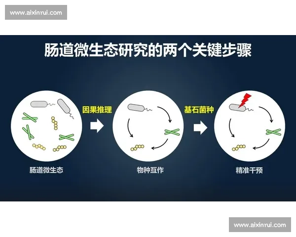 精准解析操作流程与关键步骤的实用指南 精准解析操作流程与关键步骤的实用指南