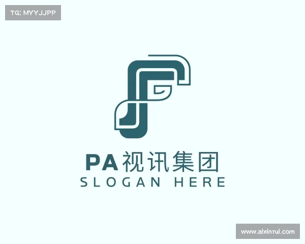 了解PA视讯集团